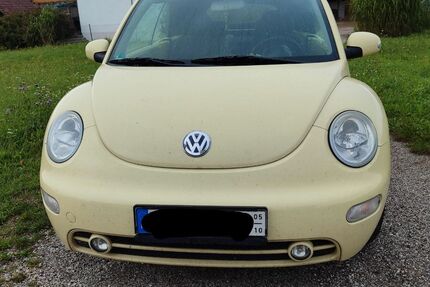 VW Beetle Gebrauchtwagen