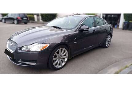 Jaguar XF Gebrauchtwagen