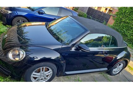 VW Beetle Gebrauchtwagen