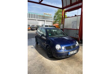 VW Polo Gebrauchtwagen
