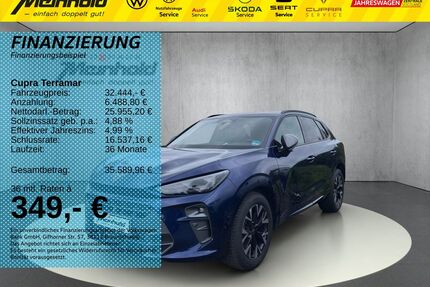 Cupra Terramar Gebrauchtwagen
