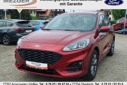 Ford Kuga Gebrauchtwagen