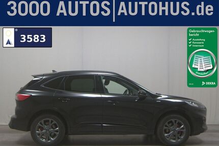 Ford Kuga Gebrauchtwagen