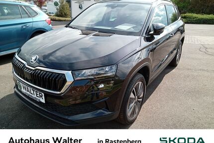 Skoda Karoq Gebrauchtwagen