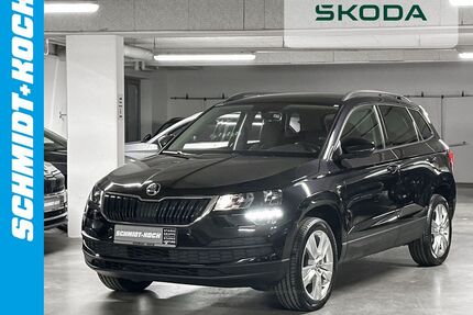 Skoda Karoq Gebrauchtwagen