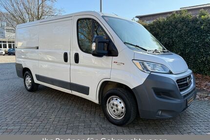 Fiat Ducato Gebrauchtwagen