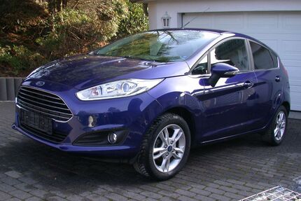 Ford Fiesta Gebrauchtwagen