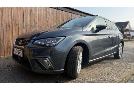 Seat Ibiza Gebrauchtwagen