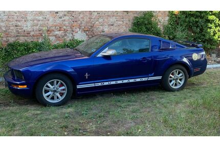 Ford Mustang Gebrauchtwagen