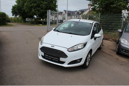Ford Fiesta Gebrauchtwagen