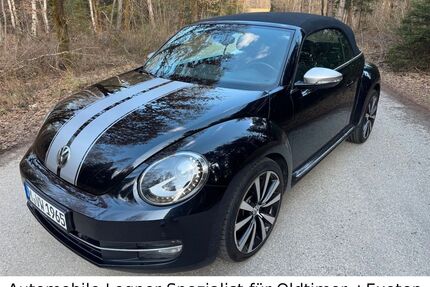 VW Beetle Gebrauchtwagen