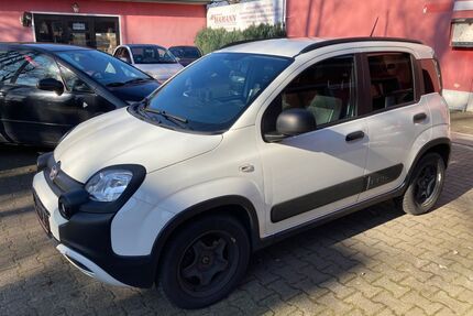 Fiat Panda Gebrauchtwagen