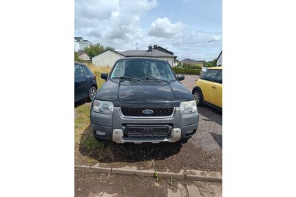 Ford Escape Gebrauchtwagen