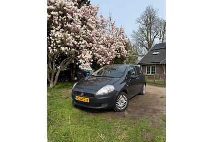 Fiat Punto Gebrauchtwagen