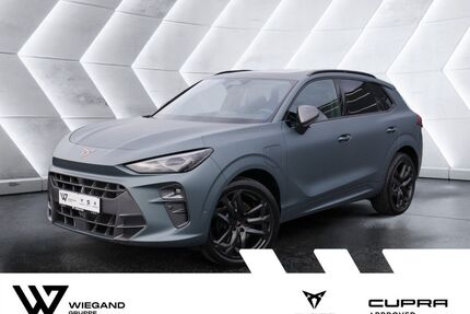 Cupra Terramar Gebrauchtwagen