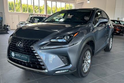 Lexus NX 300 Gebrauchtwagen