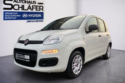 Fiat Panda Gebrauchtwagen