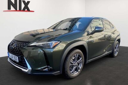 Lexus UX Gebrauchtwagen