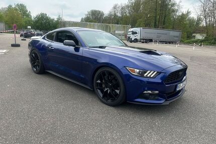 Ford Mustang Gebrauchtwagen