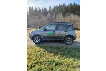 Fiat Panda Gebrauchtwagen