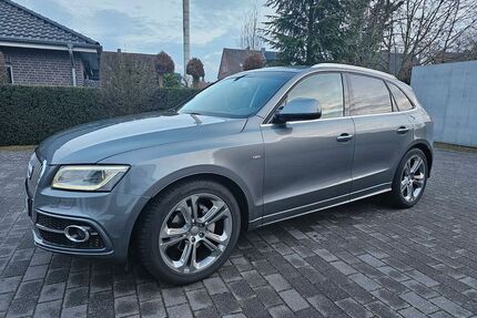 Audi Q5 Gebrauchtwagen