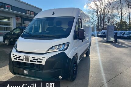 Fiat Ducato Gebrauchtwagen