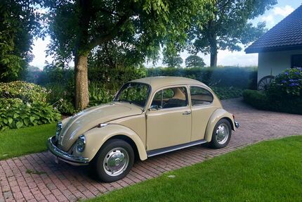 VW Käfer Gebrauchtwagen
