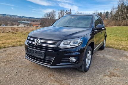 VW Tiguan Gebrauchtwagen
