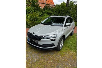 Skoda Karoq Gebrauchtwagen