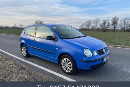 VW Polo Gebrauchtwagen