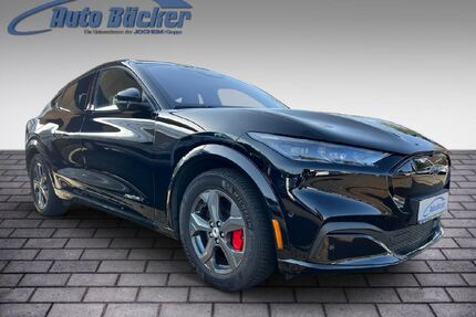 Ford Mustang Mach-E Gebrauchtwagen