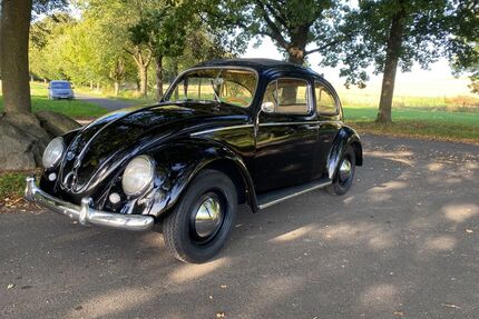 VW Käfer Gebrauchtwagen
