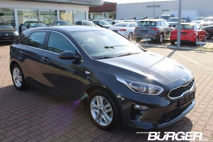 Kia ceed / Ceed Gebrauchtwagen