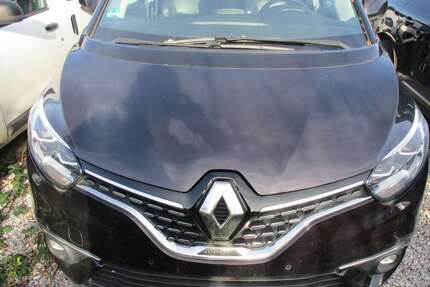 Renault Scenic Gebrauchtwagen