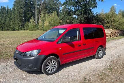 VW Caddy Maxi Gebrauchtwagen