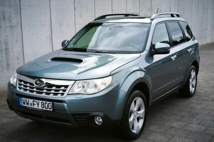 Subaru Forester Gebrauchtwagen