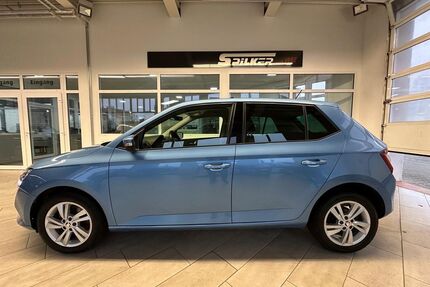 Skoda Fabia Gebrauchtwagen