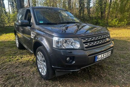 Land Rover Freelander Gebrauchtwagen