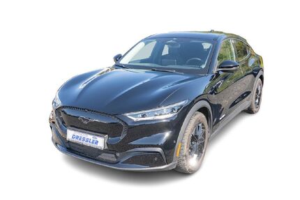 Ford Mustang Mach-E Gebrauchtwagen