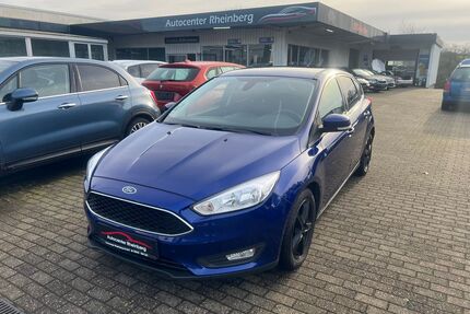 Ford Focus Gebrauchtwagen