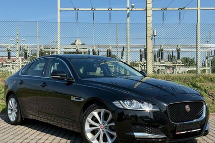 Jaguar XF Gebrauchtwagen