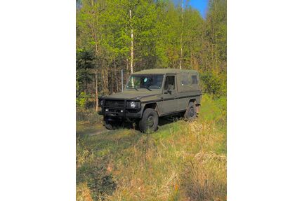 Mercedes-Benz 230 Gebrauchtwagen