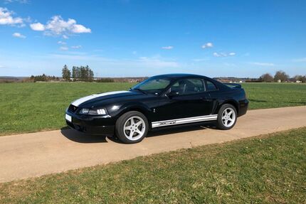Ford Mustang Gebrauchtwagen