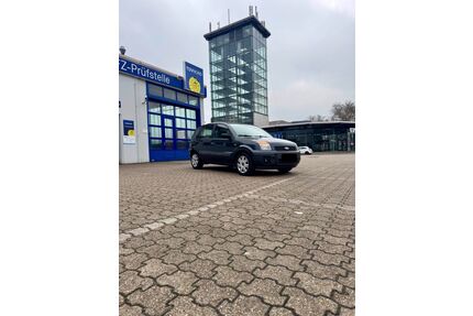 Ford Fusion Gebrauchtwagen