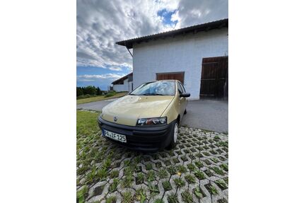 Fiat Punto Gebrauchtwagen