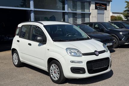 Fiat Panda Gebrauchtwagen
