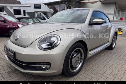 VW Beetle Gebrauchtwagen
