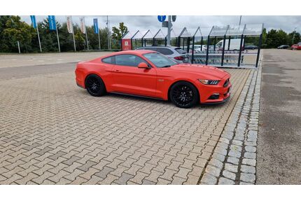 Ford Mustang Gebrauchtwagen