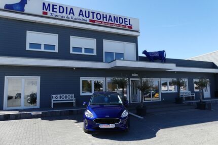 Ford Fiesta Gebrauchtwagen