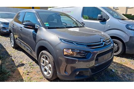 Citroen C4 Cactus Gebrauchtwagen